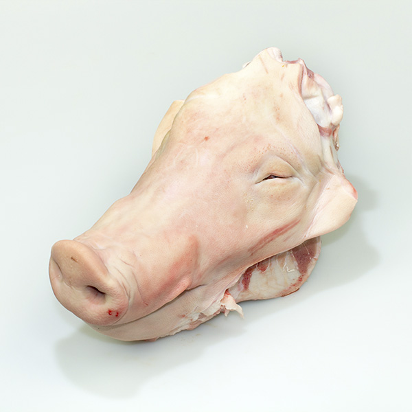 Wholesale Pork Heads Pork Products Supplier Premium Meat Distributor International Pork Shipments Global Culinary Market Quality Pork Without Ears Reliable Pork Head Supplier