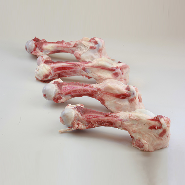 Wholesale Pork Femur Bones Premium Femur Bone Supplier Global Distributor of Pork Bones Femur Bones in Bulk International Shipping for Pork Products Quality Pork Femur Bone Supplier Pork wholesale suppliers Buy Pork Femur Bones wholesale bulk supplier, Buy Frozen Pork Femur Bones wholesale